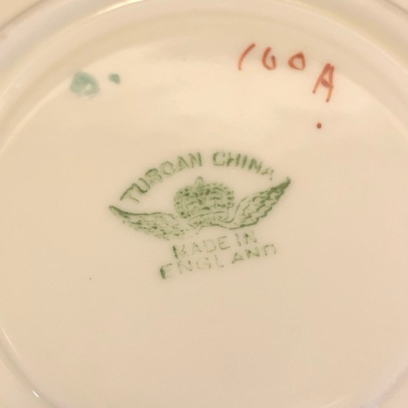 Stunning Tuscan China Cup & Saucer - Picture 7 of 9